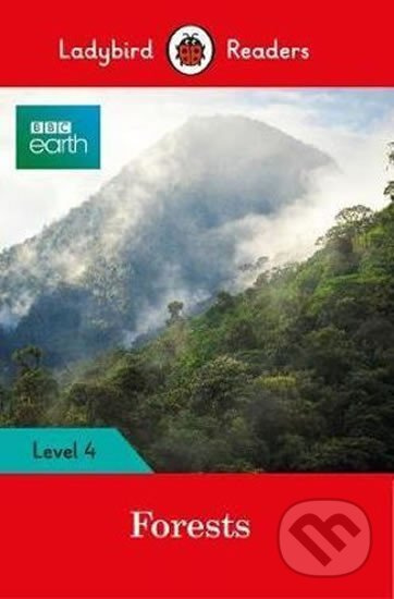 BBC Earth: Forests- Ladybird R - Ladybird