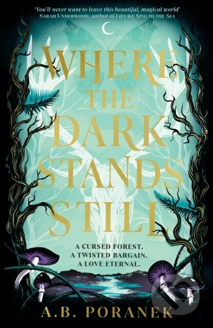 Where the Dark Stands Still - Ania Poranek - kniha z kategorie Pro děti