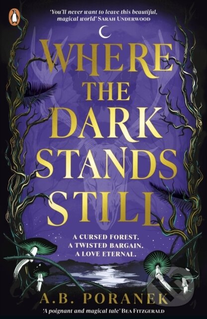 Where the Dark Stands Still - A.B. Poranek - kniha z kategorie Fantasy