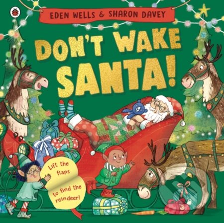 Don't Wake Santa (A lift-the-flap Christmas book) - Eden Wells - kniha z kategorie Pro děti