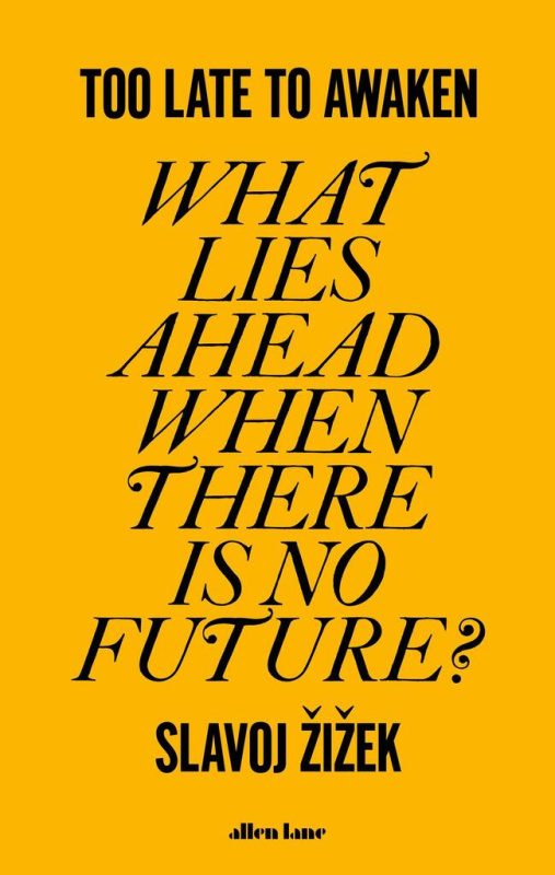 Too Late to Awaken (What Lies Ahead When There is no Future?) - kniha z kategorie Filozofie