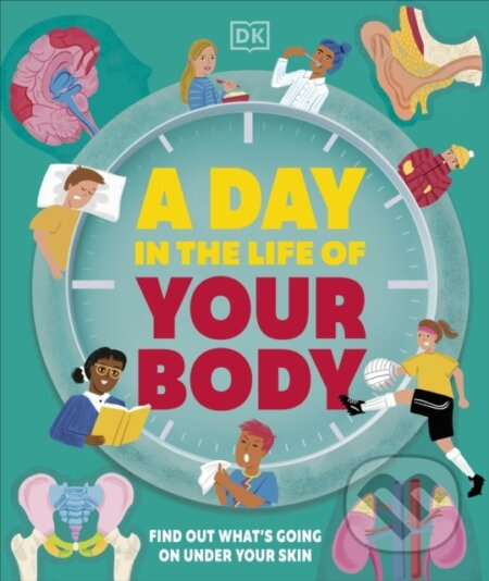 A Day in the Life of Your Body (Find Out What's Going on Under Your Skin)