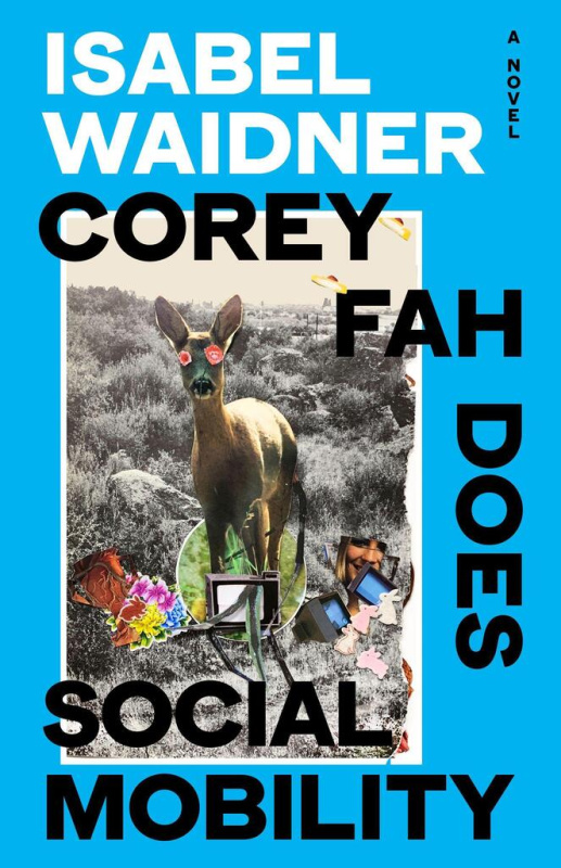 Corey Fah Does Social Mobility - Isabel Waidner - kniha z kategorie Společenská beletrie