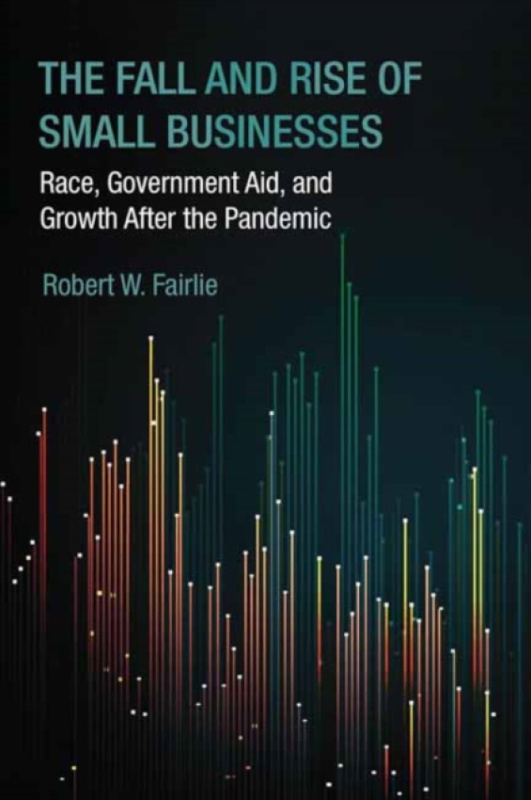 MIT Press Ltd Fall and Rise of Small Businesses - Fairlie, Robert W.