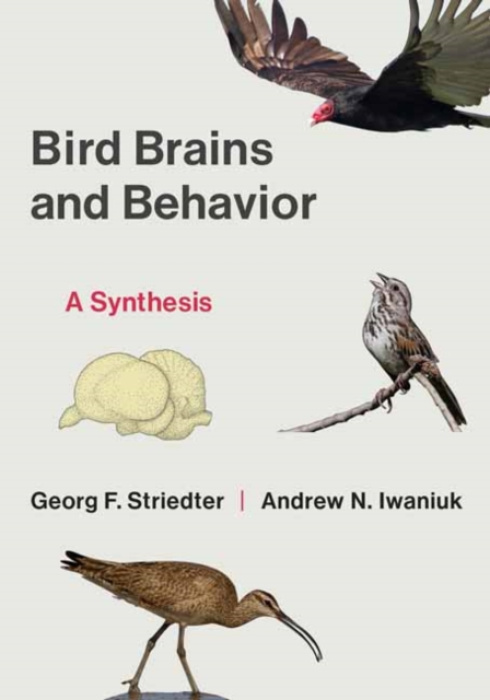 MIT Press Ltd Bird Brains and Behavior - Striedter, Georg F. a Iwaniuk, Andrew