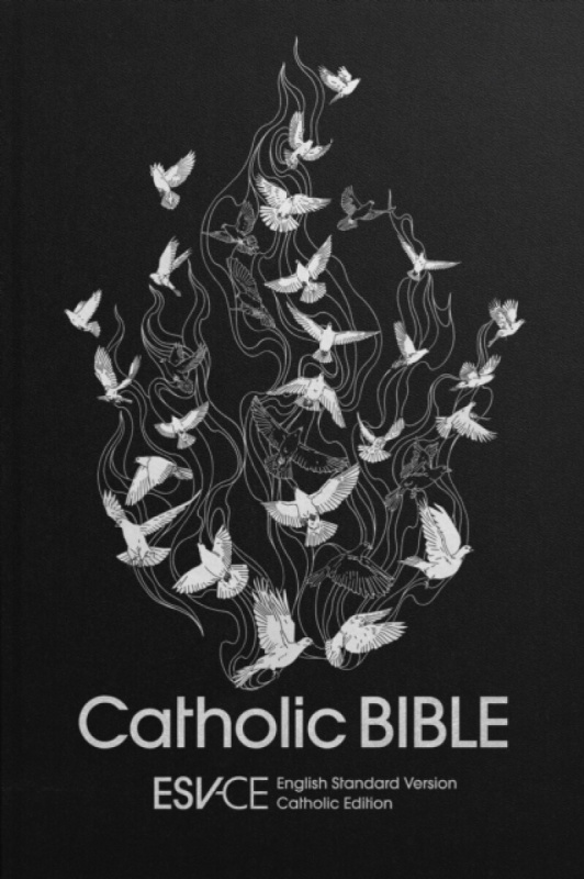 ESVâ€“CE Catholic Bible. The Official Liturgical B â€“ Anglicized Hardback Edition, English Standard Version â€“ Catholic Edition - Spck Esvâ€“ce Bibl
