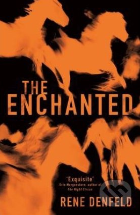 The Enchanted - Rene Denfeld - kniha z kategorie Beletrie