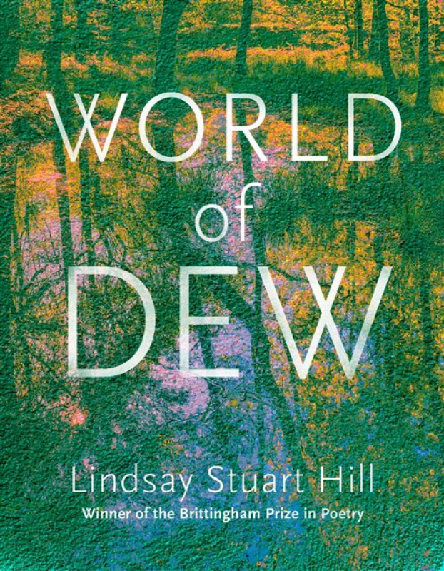 University of Wisconsin Press World of Dew - Hill, Lindsay Stuart