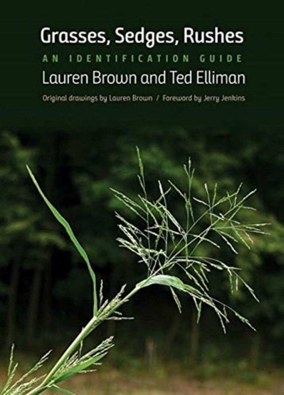 Grasses, Sedges, Rushes â€“ An Identification Guide - Lauren Brown, Ted Elliman