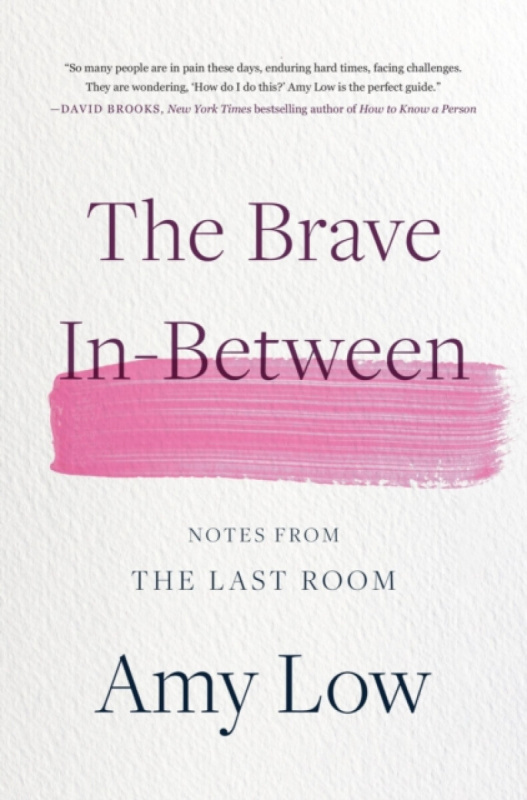 The Brave In-Between (Notes from the Last Room) - Amy Low - kniha z kategorie Psychologie