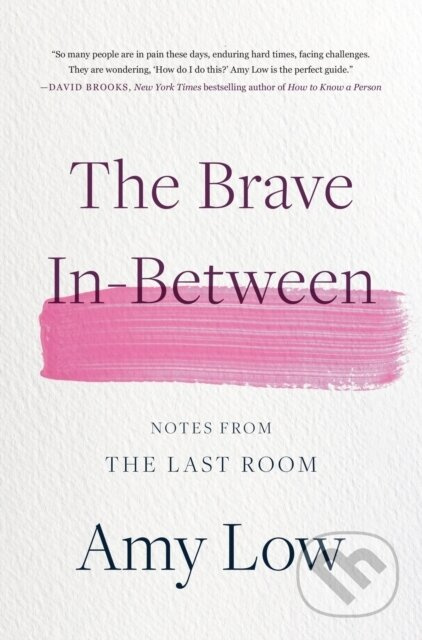 The Brave In-Between (Notes from the Last Room) - Amy Low - kniha z kategorie Psychologie