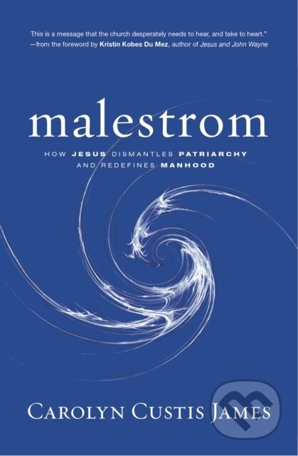 Malestrom (How Jesus Dismantles Patriarchy and Redefines Manhood) - kniha z kategorie Humanitní a společenské vědy
