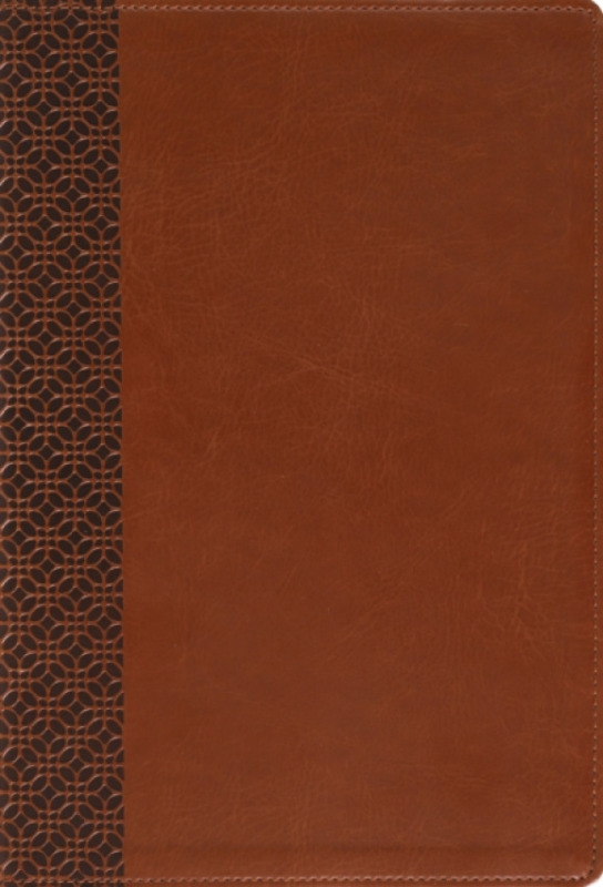 Zondervan Amplified Holy Bible, Large Print, Leathersoft, Brown - Zondervan