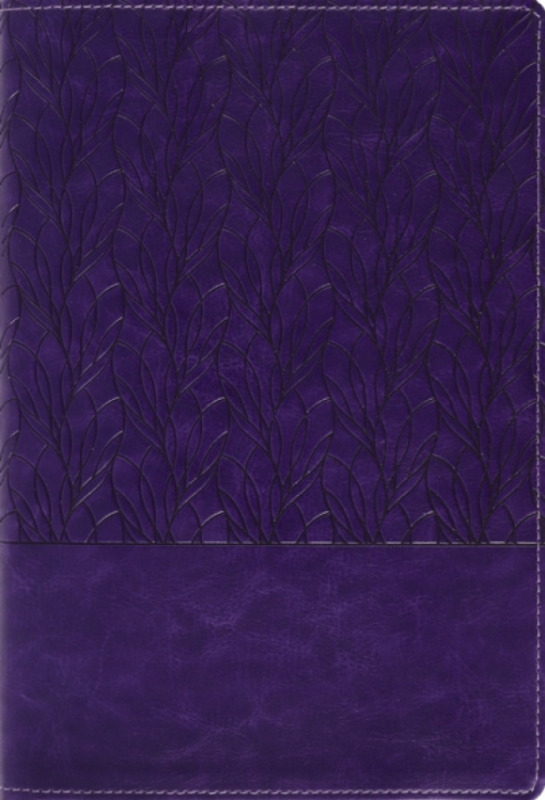 Zondervan Amplified Holy Bible, Large Print, Leathersoft, Purple - Zondervan