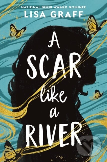 A Scar Like a River - Lisa Graff - kniha z kategorie Beletria