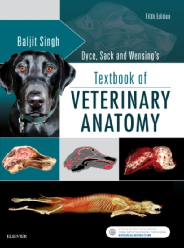 Dyce, Sack, and Wensing's Textbook of Veterinary Anatomy - Baljit Singh