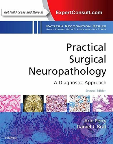 Practical Surgical Neuropathology: A Diagnostic Approach - kniha z kategorie Medicína