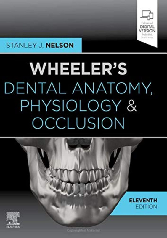 Wheeler's Dental Anatomy, Physiology and Occlusion - Stanley J.  Nelson