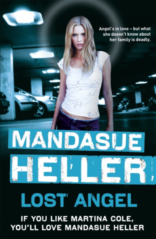 Lost Angel - Mandasue Heller