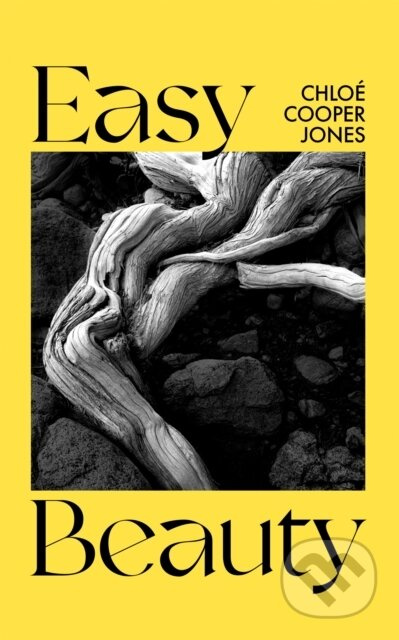 Easy Beauty (On Seeing and Being Seen) - Chloe Cooper Jones