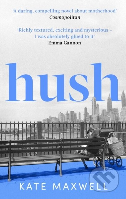 Hush (The heartbreaking and life-affirming debut novel which tells the truth about motherhood) - kniha z kategorie Společenská beletrie