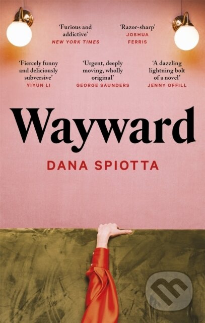 Wayward - Dana Spiotta - kniha z kategorie Společenská beletrie