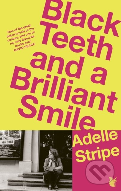 Black Teeth and a Brilliant Smile - Adelle Stripe - kniha z kategorie Společenská beletrie