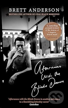Afternoons With The Blinds Drawn - Brett Anderson - kniha z kategorie Životopisy