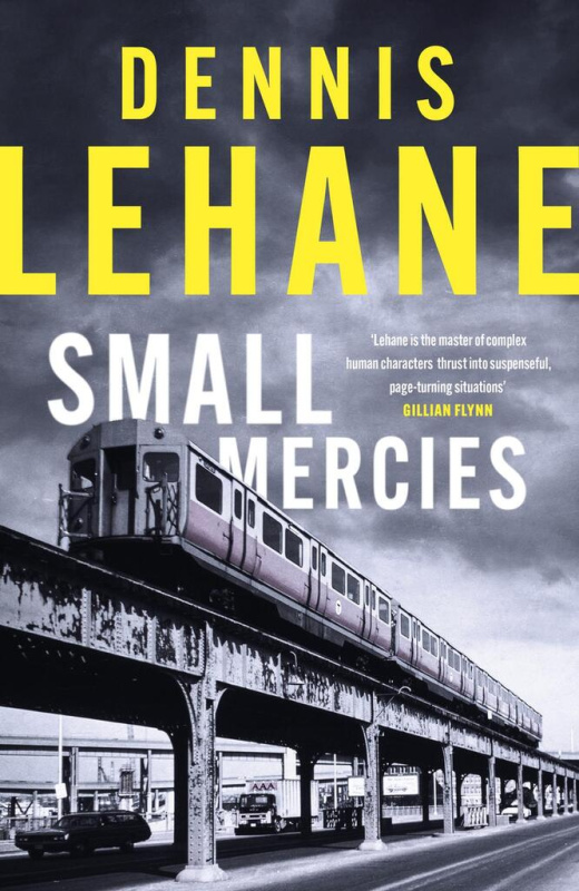 Small Mercies (Shortlisted for the CWA Gold Dagger 2024) - kniha z kategorie Thrillery