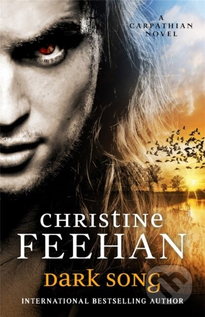 Dark Song - Christine Feehan - kniha z kategorie Romantika