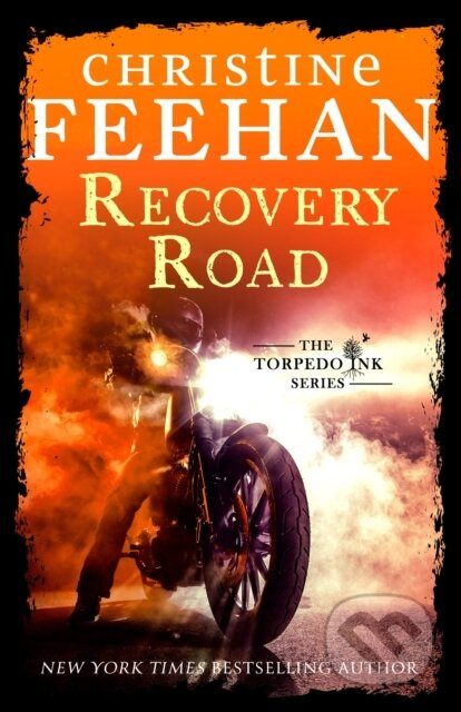 Recovery Road - Christine Feehan - kniha z kategorie Romantika