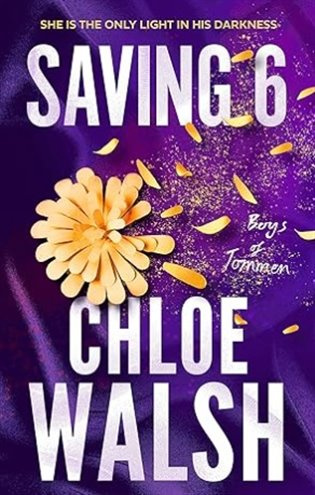 Saving 6 (Epic, emotional and addictive romance from the TikTok phenomenon) - kniha z kategorie Romantická