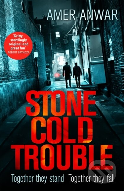 Stone Cold Trouble - Amer Anwar - kniha z kategorie Společenská beletrie