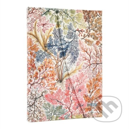 D2026 Anemone Midi HOR -  Paperblanks