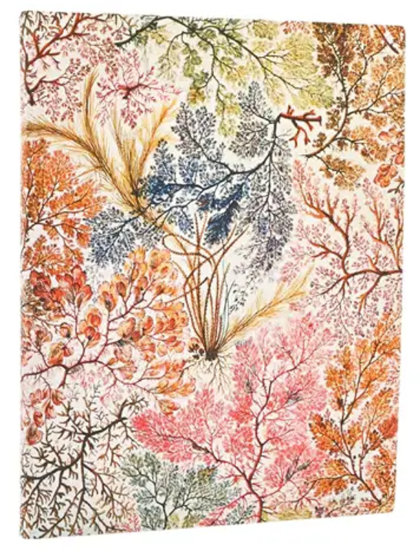 Paperblanks - business diár Anemone 2026 (flexi, ultra, elastické zatváranie)