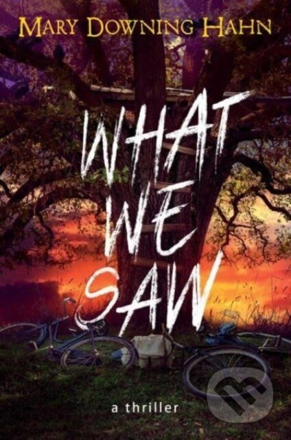 What We Saw (A Thriller) - Hahn Mary Downing - kniha z kategorie Pro děti