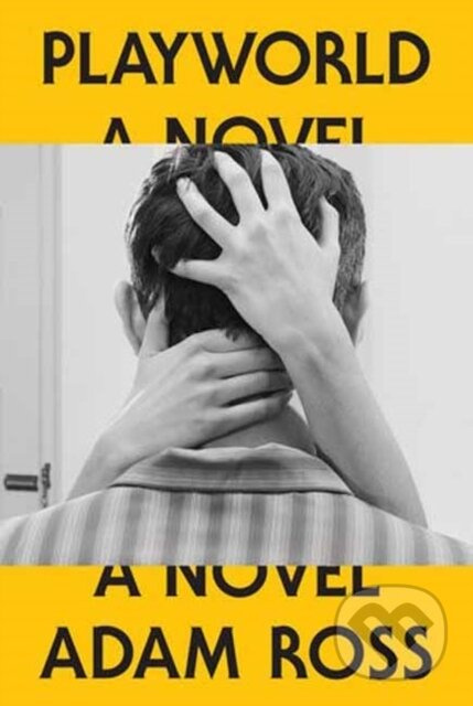 Playworld (A Novel) - Adam Ross - kniha z kategorie Romantika