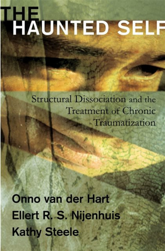 WW Norton & Co Haunted Self - Hart, Onno van der, Ph.D. a Nijenhuis, Ellert R. S. a Steele, Kathy