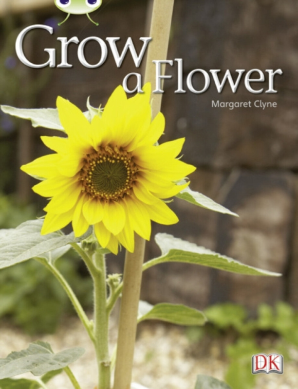 Bug Club Independent Non Fiction Reception Red C Grow a Flower - Margaret Clyne