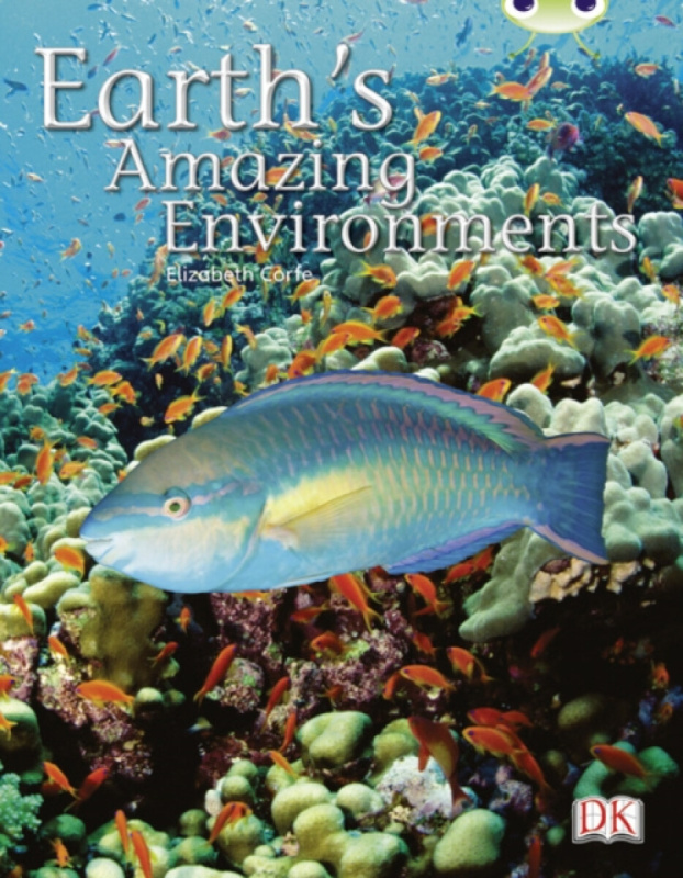 Bug Club Independent Non-Fiction Year Two White A - Earth's Amazing Environments - Elizabeth Corfe