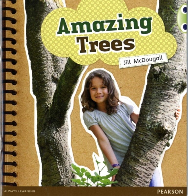 Bug Club Guided Non Fiction Year 1 Green A Amazing Trees - Jill McDougall