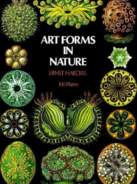 Art Forms in Nature - Ernst Heinr Haeckel - kniha z kategorie Biológia