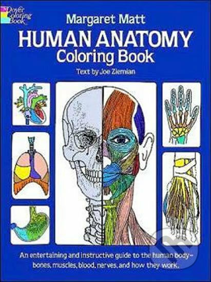 Human Anatomy: Coloring Book - Margaret Matt - kniha z kategorie Omalovánky, vystřihovánky, papír