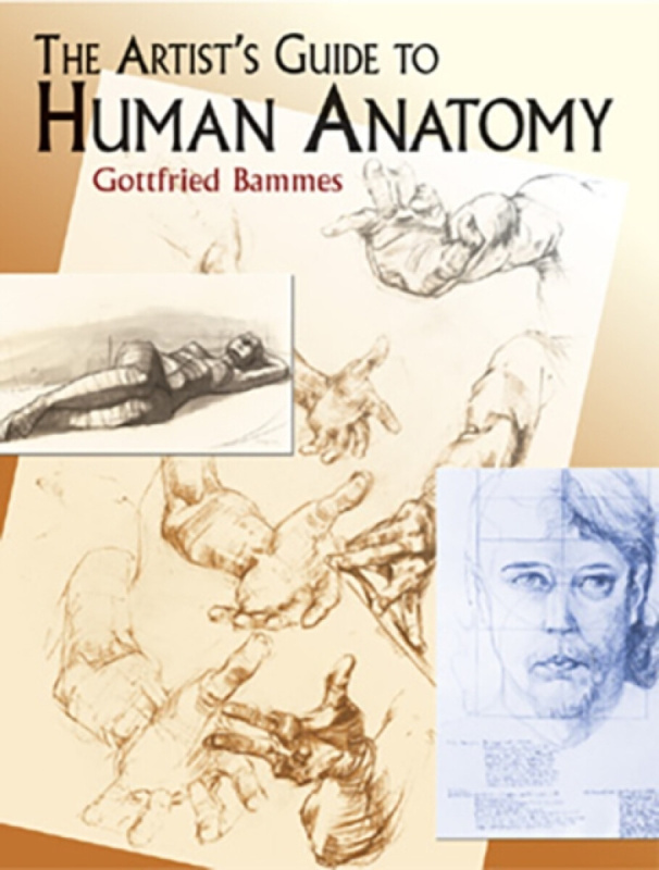 The Artist's Guide to Human Anatomy - Bammes Gottfried