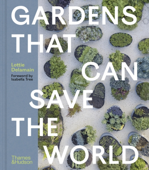 Gardens That Can Save the World - Lottie Delamain - kniha z kategorie Architektura