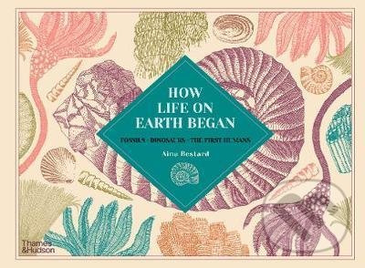 How Life on Earth Began (Fossils * Dinosaurs * The First Humans) - kniha z kategorie Naučné knihy