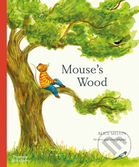 Mouse's Wood (A Year in Nature) - Alice Melvin - kniha z kategorie Pohádky