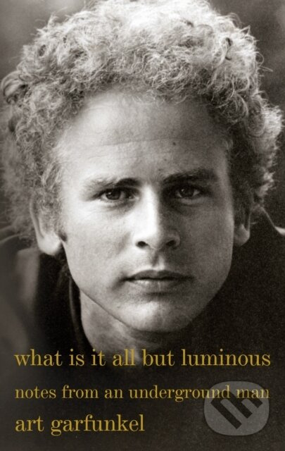 What Is It All but Luminous (Notes from an Underground Man) - kniha z kategorie Životopisy