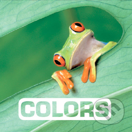 Colors - Marie Vendittelli - kniha z kategorie Pro děti