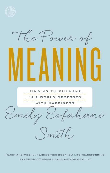 Power Of Meaning (Finding Fulfillment in a World Obsessed with Happiness) - kniha z kategorie Seberozvoj